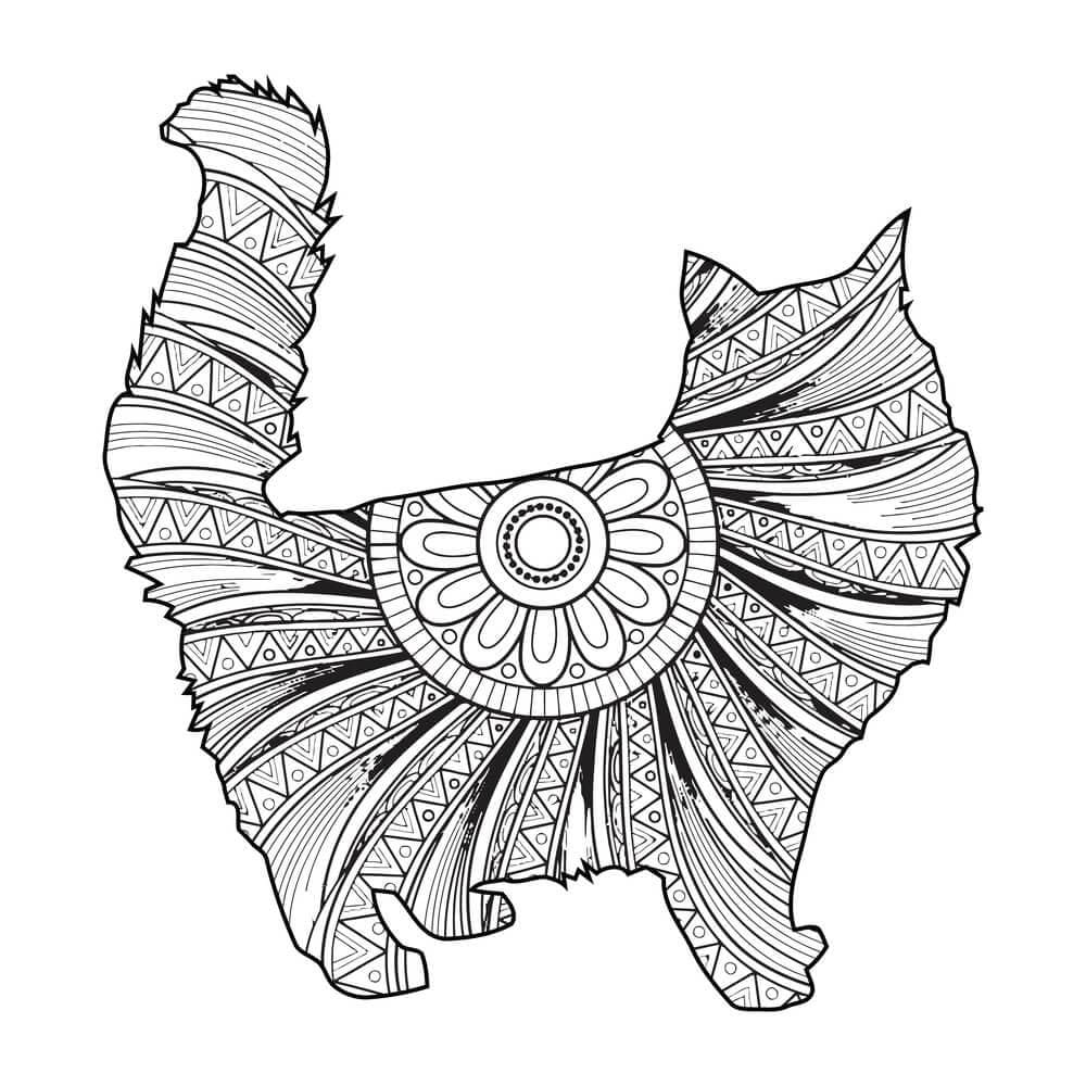 Mandalas Chat 19